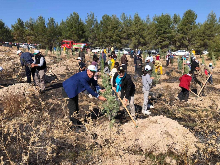 Samsat´ta 2 bin 23 adet fidan toprakla buluştu