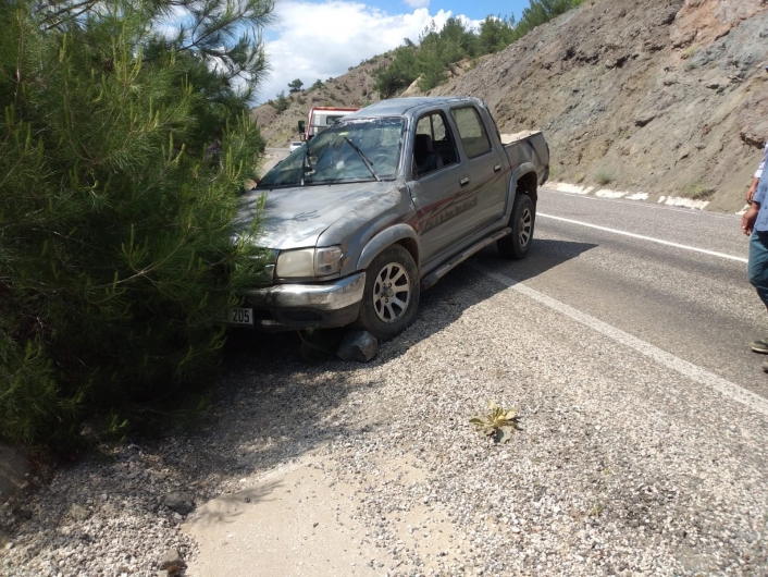 Şarampole düşen kamyonet sürücüsü yaralandı
