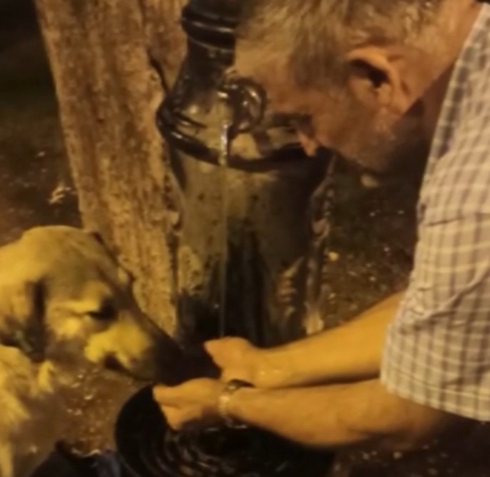 Susuz kalan köpeğin yardımına polis yetişti
