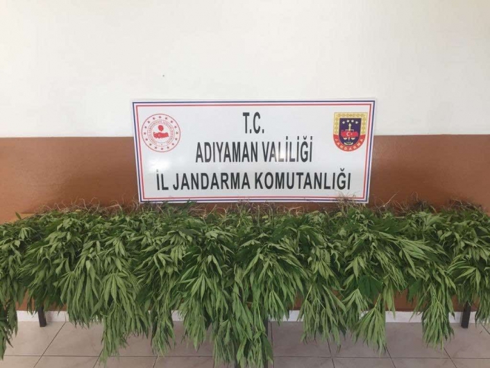 Adıyaman'da Kenevir Operasyonu